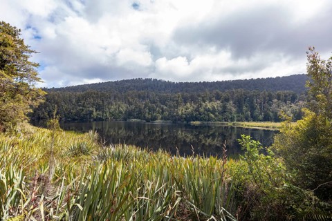 Lake Matheson Trail, New Zealand, Oceania