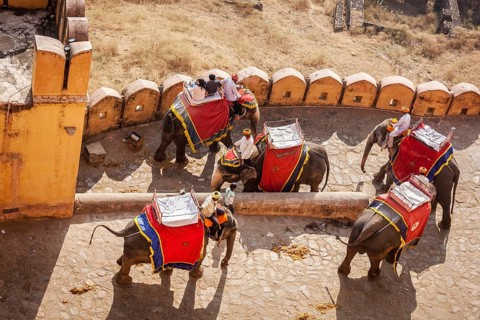 JAIPUR, INDIA, NOVEMBER, 18: Tourists riding elephants in Amber fort, Rajasthan, Elephant ride is a