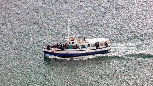 Boot, Taiaroa Head, Otago-Halbinsel, Neuseeland