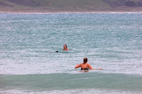 Delfine, Badende, Curio Bay, Südland, Neuseeland