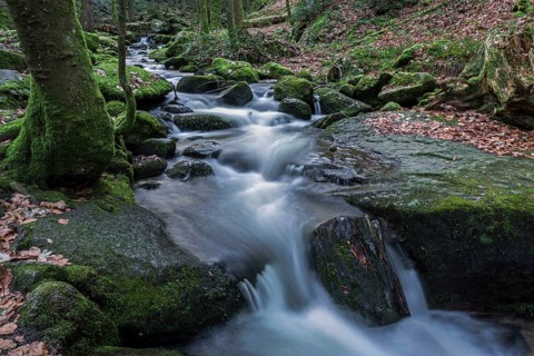 Gertelbach, Gertelbach Waterfalls, Gertelbach Falls, Gertelbach Gorge, Bühl, Bühlertal, Northern