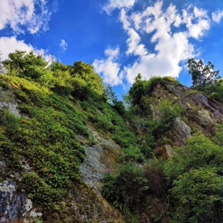 Very steep, partially overgrown rock face with a view upwards into the sky, Vianden, Canton of