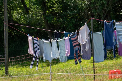 Laundry dries on the line in a garden, in summer