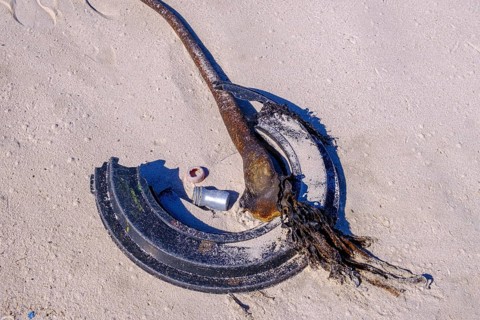 Litter and washed up kelp on the beach, marine litter, Platboom Beach, Cape Point, Cape of Good