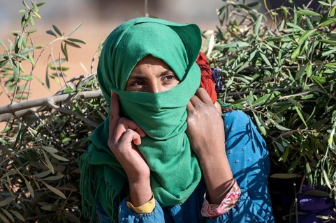 Portrait, Berber woman, traditional clothing, carrying olive branches, Morocco, Africa