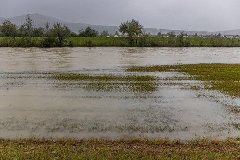 Flood on a river, storm on 26.8.23 near Benediktbeuern, Loisach near Schlehdorf, Bavaria, Germany,