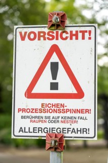 Warning of the oak processionary moth, in a public park, touching can lead to caterpillar