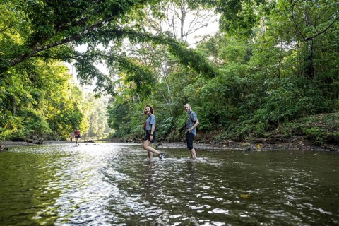 Young woman and man in the tropical rainforest crossing a stream, tourists wading through a stream,