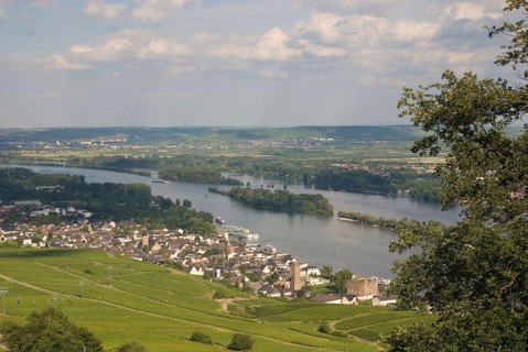 Rüdesheim am Rhein, Hesse, Germany, Europe