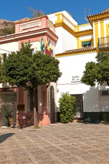 Hotel Palacio Alcazar in historic buildings, Plaza de la Alianza, Seville, Spain, Europe