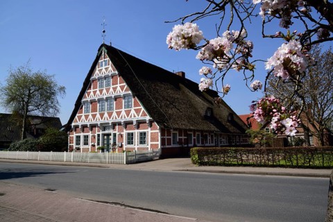 Europe, Germany, Lower Saxony, Altes Land near Hamburg, Steinkirchen an der Lühe, old half-timbered