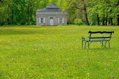 Bench in the park of Schloss Fasanerie, Eichenzell, Hesse, Germany, Europe