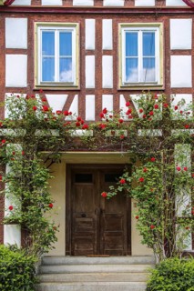 Wooden door, half-timbered house, windows, climbing roses, stairs, facade, Oppenweiler,