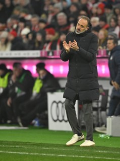 Coach Pellegrino Matarazzo TSG 1899 Hoffenheim on the sidelines, gesture, gesture, encouraging,