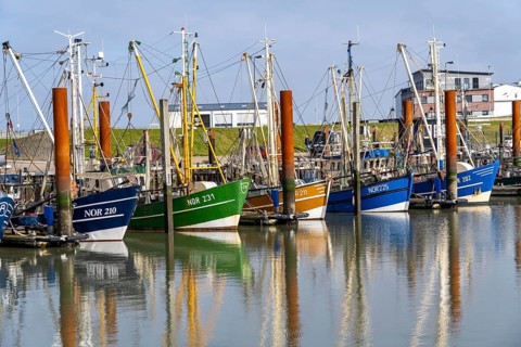 Fishing boats, shrimp boats in the harbour of Norddeich, Lower Saxony, Germany, Europe