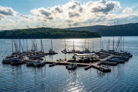 Lake Rursee, reservoir in the Eifel National Park, north-east bank near Heimbach, near the Rur dam