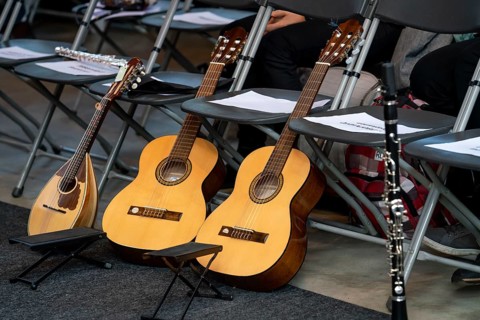 Musical instruments, at a concert, guitars, ukulele