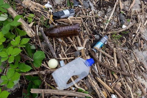 Symbolic image Environmental pollution, plastic waste, rubbish, flotsam from a flood on the Neckar