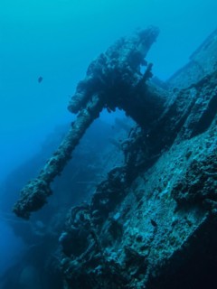 Anti-aircraft gun at the stern, wreck of the Thistlegorm, Red Sea, Egypt, Africa