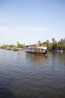 Traditional houseboats on a canal in the canal system of the backwaters, Kerala, India, Asia