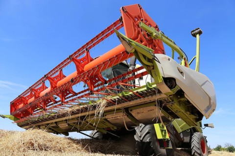 Grain harvesting with combine harvester (Ludwigshafen, Germany)