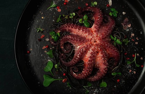 Octopus with black spaghetti, pasta, spices and herbs, top view, no people