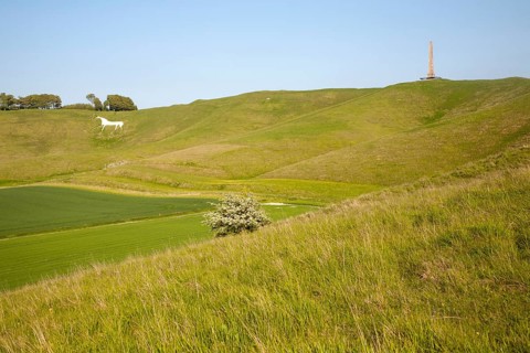 Scarp slope of White Horse on Cherhill Down and Lansdowne monument, Cherhill, Wiltshire, England,