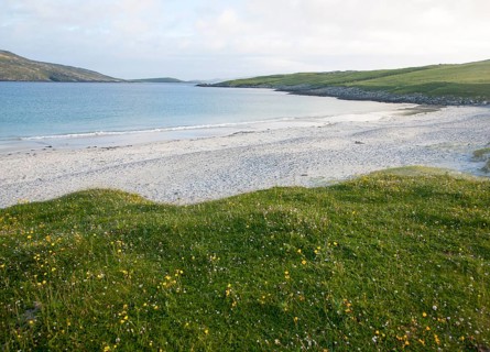 Machair grassland and sandy beach at Bagh a Deas, South Bay, Vatersay island, Barra, Outer
