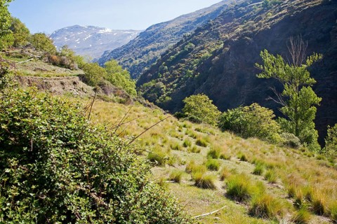 Landscape of the River Rio Poqueira gorge valley, High Alpujarras, Sierra Nevada, Granada Province,