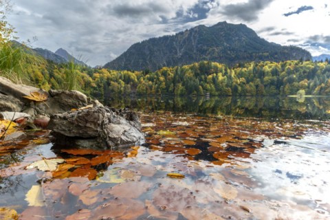 Freibergsee lake in autumn, near Oberstdorf, with the Allgäu Alps behind it, Allgäu, Bavaria,