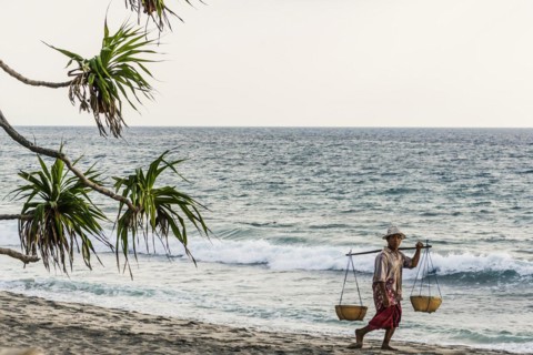 Merchant at Mangsit beach in Sengiggi, seller, man, palm beach, travel, tourism, sea, beach, water,