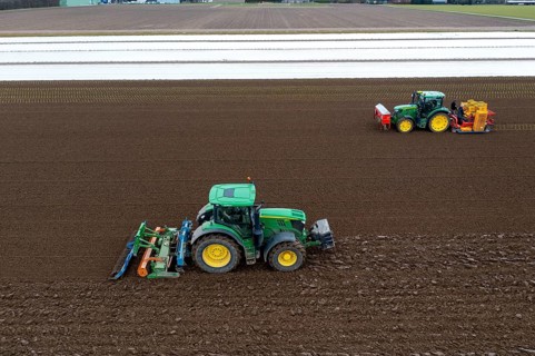 Lettuce plants are planted with a planting machine, tractor with roundabout harrow prepares the