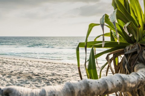 Mangsit beach in Sengiggi, empty, text field, background, palm beach, travel, tourism, sea, beach,