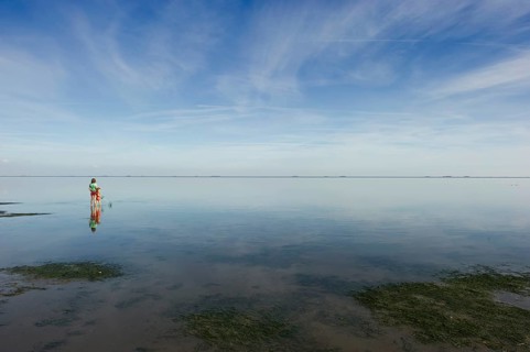 Woman with child walking through the mudflats, Wyk, Föhr, North Frisia, Schleswig-Holstein,