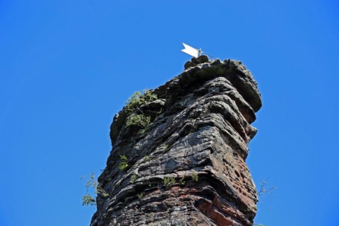 The Jungturm in the Palatinate Forest, a popular climbing rock in the Southern Wine Route