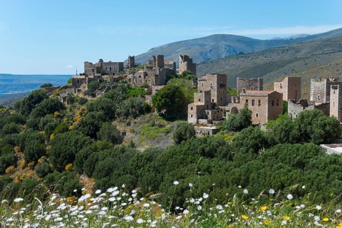 Blooming white-yellow flowers in front of a historic village in a hilly landscape, residential