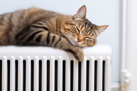 Cat sleeping on heating radiator. KI generiert, generiert, AI generated
