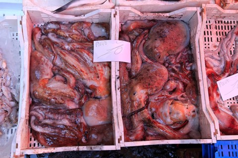 Fresh octopus at the historic Catania fish market, Catania, Sicily, Italy, Europe