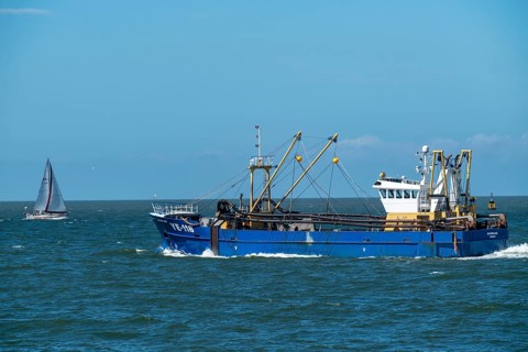 Mussel dredger YE-118, owned by the Dutch fishing cooperative Noordland BV, dredges mussels from