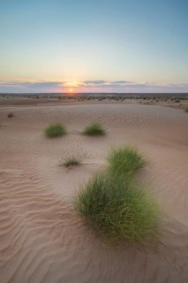 Sand dunes at sunset, Wahiba Sands desert, Sharqiya sand, Oman, Asia