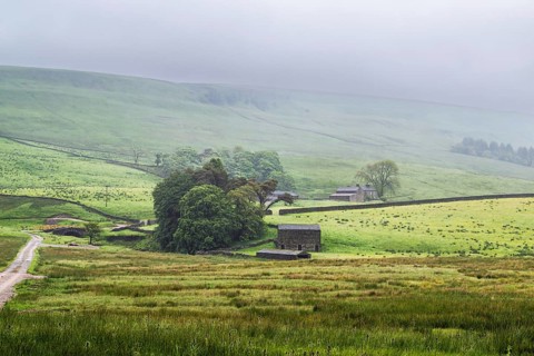 Farms in Yorkshire Dales National Park, North Yorkshire, England, United Kingdom, Europe