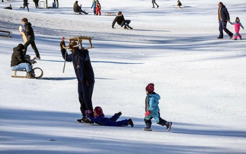 Tobogganing fun in Berlin's snow-covered Viktoriapark. Snow and icy cold continue to dominate the