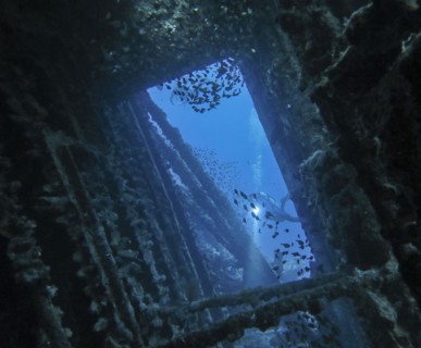 School of fish and divers in the wreck of the Carnatic, Red Sea, Egypt, Africa