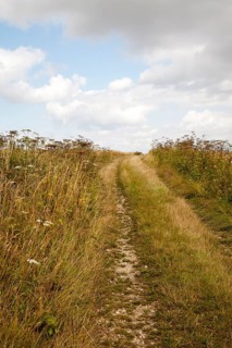 Uphill section of the ancient Ridgeway pathway crossing chalk downland near Liddington Castle,