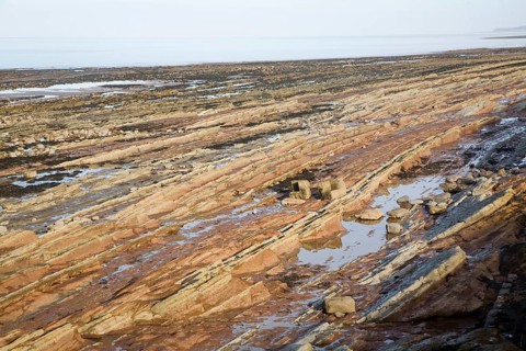 Rocky wave cut platform exposed at low tide, Watchet, Somerset, England, United Kingdom, Europe