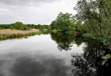 Unregulated natural course of the Spree, Mönchwinkel, 16 05 2023