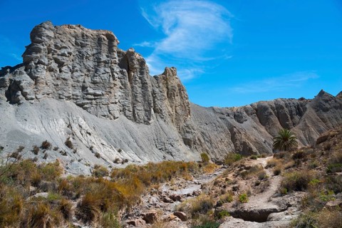 Barren desert landscape with rugged rocks, flowering vegetation and a bright blue sky, Oasis de
