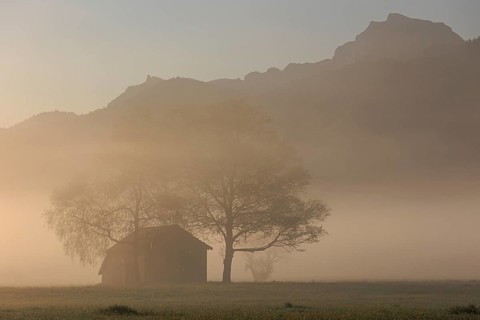 Wooden hut and trees in the fog in front of mountains, morning light, view of Benediktenwand,