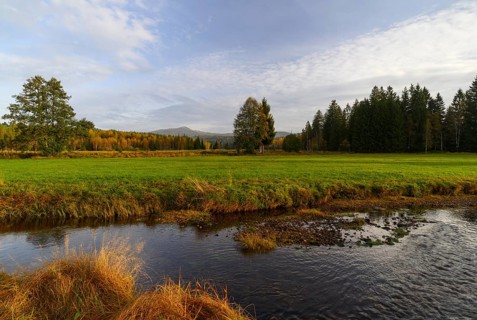 View over the Klosterfilz Moor to the Großer Rachel (1452m), Bavarian Forest National Park,