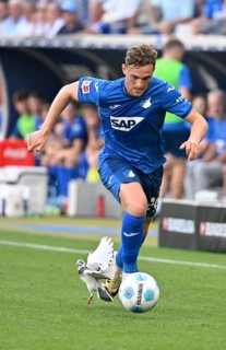 White pigeon on the pitch, grass, being harassed by Jacob Bruun Larsen TSG 1899 Hoffenheim (29)